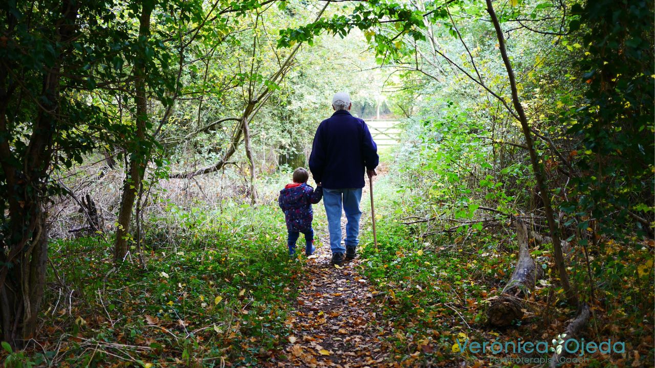 psychologist in melbourne for retirees 